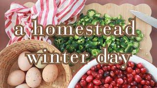 winter homestead: canning decembers produce & made from scratch cooking