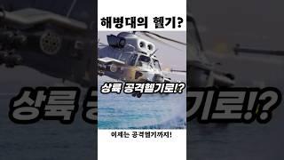 상륙작전의 핵심! 마린온, 공격헬기로 다시 뜬다!?