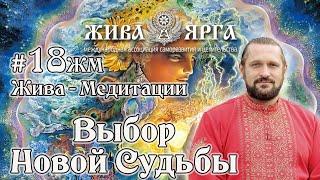 Медитация ВЫБОР НОВОЙ СУДЬБЫ |Путешествие в Божественное| Жива-Медитации. #18жм.Владимир Куровский.