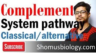 Complement system | classical and alternative pathway of complement activation