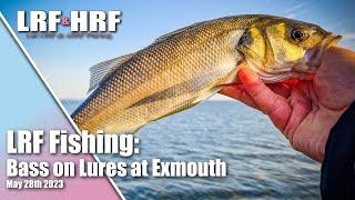 LRF Fishing: Bass on Lures at Exmouth