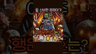  1177회 금요일! 숫자점쟁이의 띠별  행운의 3수 공개! 당신 띠는 어디?#1177회 #로또예상번호 #띠별로또 #행운의숫자 #숫자점쟁이 #로또예상번호 #재물운 #로또운세