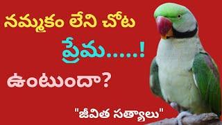 Jeevitha sathyalu#141 l Telugu Motivational & Inspirational Quotes l మంచి మాటలు l సూక్తులు