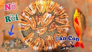 Trời Ơi Bể Cá Koi Thòi Ra 8 Chú Vịt Con Thế Này Ai Ngờ 1 Ngày Quá Nhiều Hạnh Phúc...