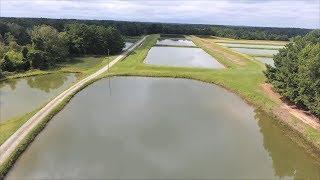 Hawkinsville, Georgia Farm Helps Satisfy Our Taste for Catfish