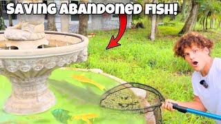 Saving ABANDONED Aquarium FISH from GREEN SLIME POND!