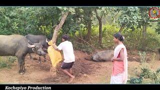 Khuntaw dosar // New santali comedy video 2024 // #viralvideo // #funnyvideo // Kochepiyo Production