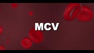 MCV Elevation? Bone marrow toxicity?