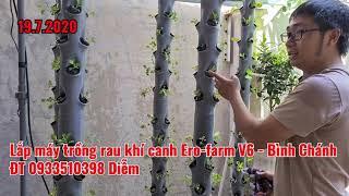 Thu thành quả sau 4 tuần trồng rau trên máy khí canh Ero-farm với phân hữu cơ vi sinh bổ sung khoáng