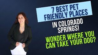 7 BEST PET FRIENDLY PLACES IN COLORADO SPRINGS!