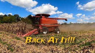 Back At It! Corn  Harvest 2024