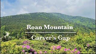 Roan Mountain State Park  | North Carolina - Tennessee border