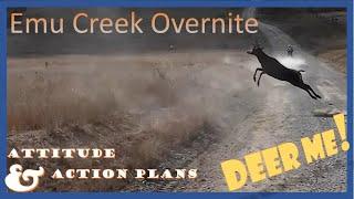 Adventure Moto Overnight Camp | Emu Creek | Honda CB500x