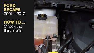 How to Check the fluid levels on the Ford Escape 2001 - 2017