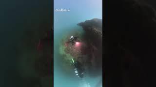 In the Blue Sea. #portjacksonshark #scorpionfish #scuba #bluegroper