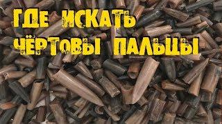 ГДЕ ИСКАТЬ БЕЛЕМНИТЫ WHERE TO FIND BELEMNITES