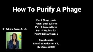 How To Purify A Phage