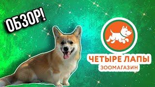 ОБЗОР НА ЗООМАГАЗИН 4 ЛАПЫ!Лучший зоомагазин? Корги Рокки (говорящая собака)