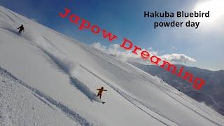 Hakuba Japow - The land of the Rooster Tails