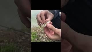 Мой метод ловли на живца