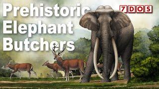 Ancient Humans Butchered Giant Elephants 300,000 Years Ago | 7 Days of Science