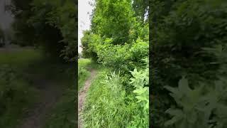 Как найти свободный участок земли и занять его