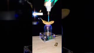  Project - banana power  #experiment #teslacoil #fruit