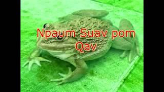 npau suav pom qav