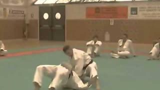 Ju Jitsu - Duo System - serie B - parte 2/3