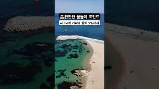 여기 가면 커피집 무조건 들림 고정댓글참고 #캠핑 #스노클링 #스노쿨링 #해루질 #커피맛집 #물회
