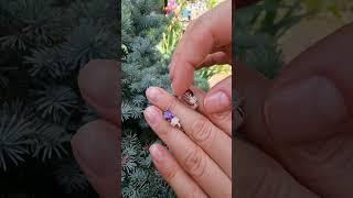 серебряные серьги с фиолетовыми фианитами