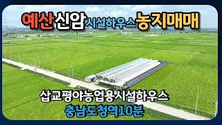 예산신암면에 비닐하우스 시설된 농지를 매매합니다. 폭 약6m 길이 100m되는 비닐하우스 6동이 있습니다.최근까지 수박을 재배했고 각종 시설과 설비는 잘 갖추어져 있습니다.