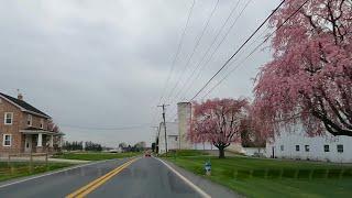 Scenic Drive Morgantown, Lancaster County, PA to Stevens, PA. Amish Farms. Springtime!