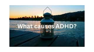 What causes ADHD? #adhd #adhdtiktok #adhdfamily #adhdkids