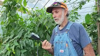 How to TEST Soil PH --  Kactoily PH Soil Tester