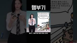 #햄부기 종결자 #햄부기햄북