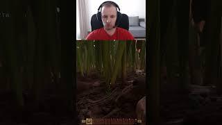 Ниламоп завалил клеща в Grounded (камнем) #nilamop #ниламоп #grounded #groundedgame #насекомые