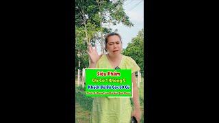 Siêu Phẩm Đất Nền Tân Khai. Khách Đã Cọc 50 Triệu Đã Bỏ Cọc. Giờ Bán Lại Khách Mua Lời Ngay 50 Triệu
