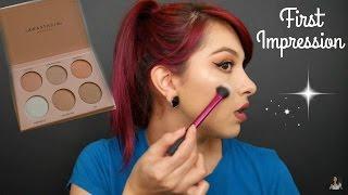 Anastasia Beverly Hills x NICOLE GUERRIERO GLOW KIT! Swatches & Review