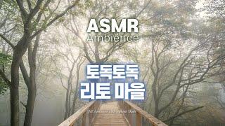 모험의 주인공, 바로 당신의 이야기젤다의 전설, 비내리는 안개 속 [리토 마을] ASMR /공부할 때, 자기전에 듣는 앰비언스