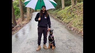 Pittsburgh Dog Whisperer Trains a Fear Reactive 6 Month Doberman