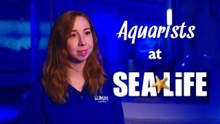 Working as a Penguin Keeper at SEA LIFE London