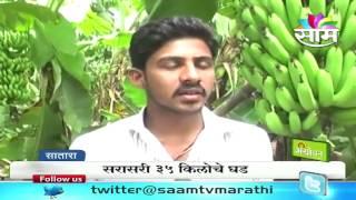 Bhuvasaheb Bagal's natural banana farming success story