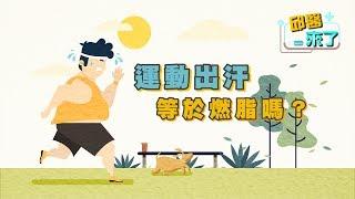 【邱醫來了】運動出汗等於燃脂嗎？