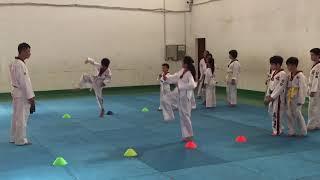 Taekwondo training for beginner