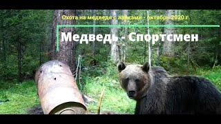 СПОРТИВНЫЙ МЕДВЕДЬ | Охота на медведя 2020