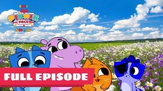 The Pikwik Pack Show S1 E14: Captain For A Day