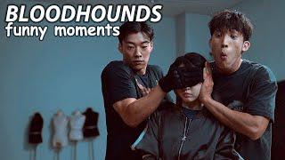 bloodhounds funny moments