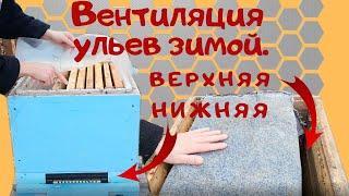 Вентиляция ульев зимой. - Как избежать влаги в ульях.