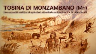 LA TOSINA DI MONZAMBANO Una comunità neolitica tra il V e IV miillenio a.c.  |   Teaser